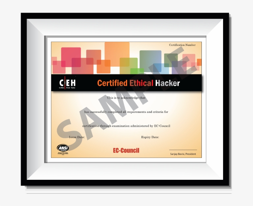 Certified Ethical Hacker, transparent png download