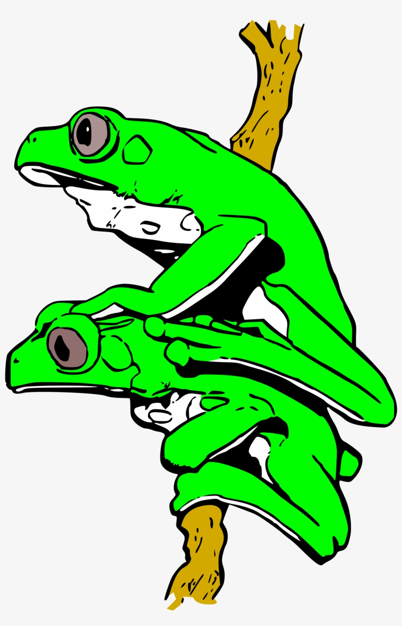 Open - Frogs, transparent png download