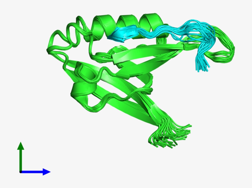 Pdb 2k20 Coloured By Chain And Viewed From The Front - Illustration, transparent png download