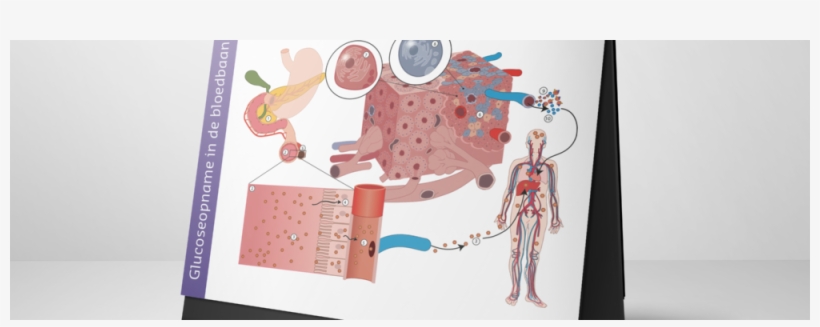 17 Aug 2016 - Construction Paper, transparent png download