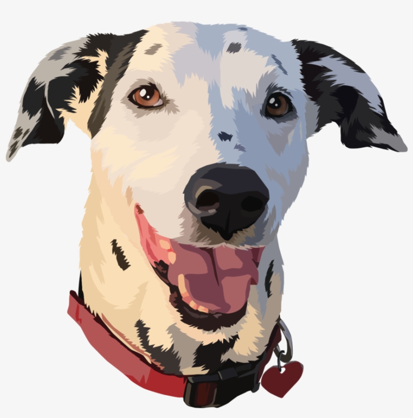 Hairy January - Dalmatian, transparent png download