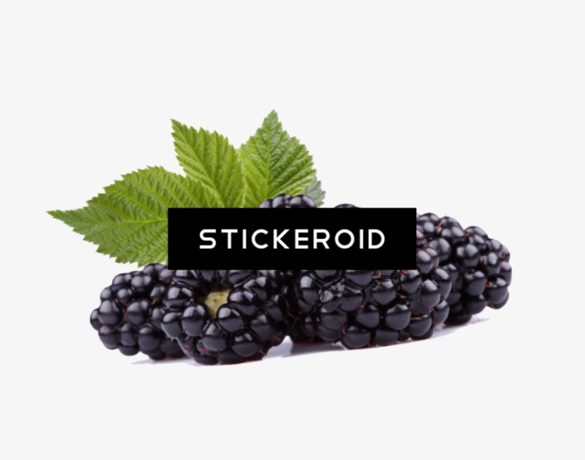 Black Raspberries Hd - Russells Black Raspberry Pecan Ice Cream, transparent png download