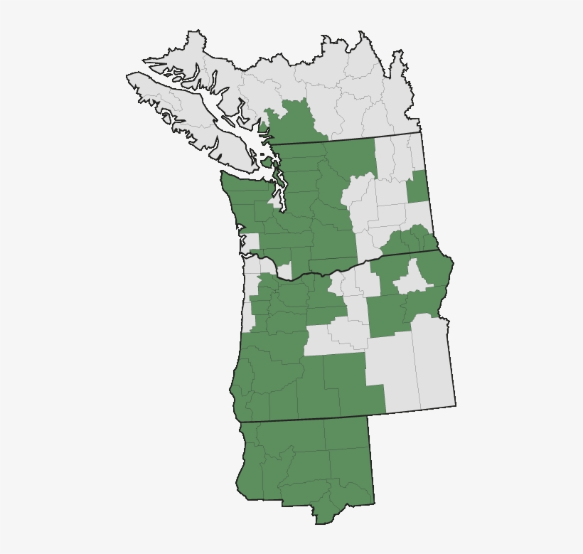 Pacific Northwest Map Outline More Information Pacific Northwest Map Black Png Image Transparent Png Free Download On Seekpng