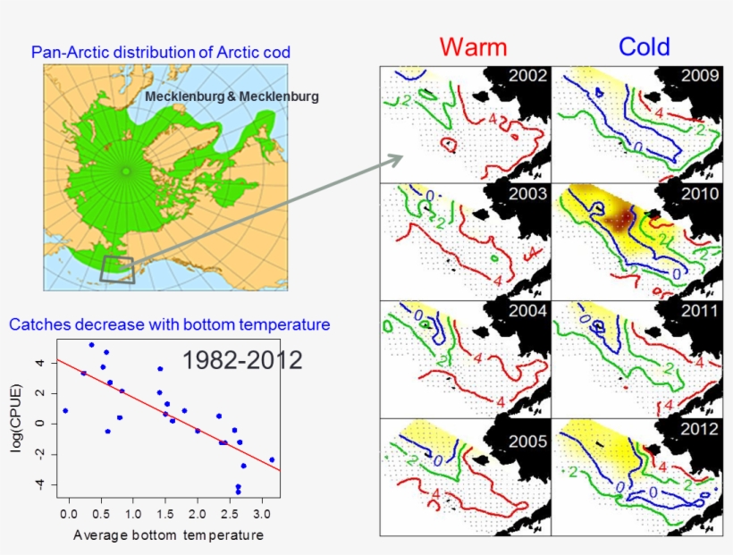 Link To Previous Research News - Atlas, transparent png download