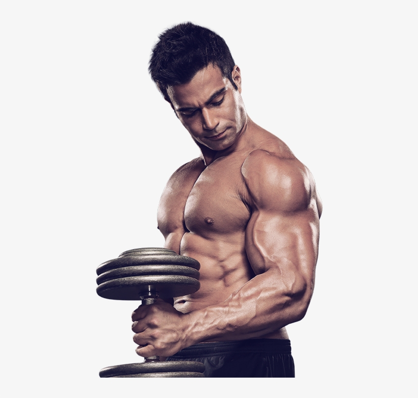 Dietary Supplement Bodybuilding Weight - Muscle Model Png, transparent png download