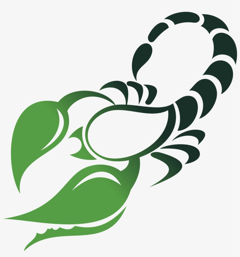 Signe Astrologique Scorpion Dessin, transparent png download