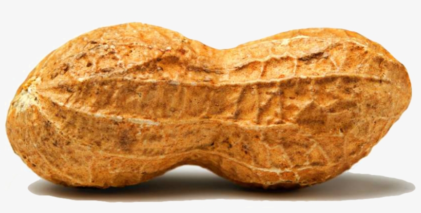 Peanut Png - Peanut Transparent, transparent png download