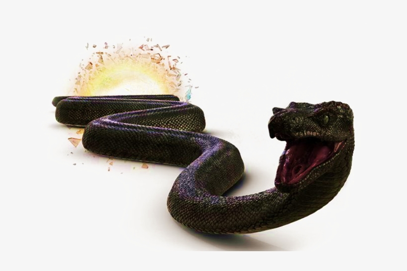 Titanoboa Snake Png Transparent Image - Primeval Png, transparent png download