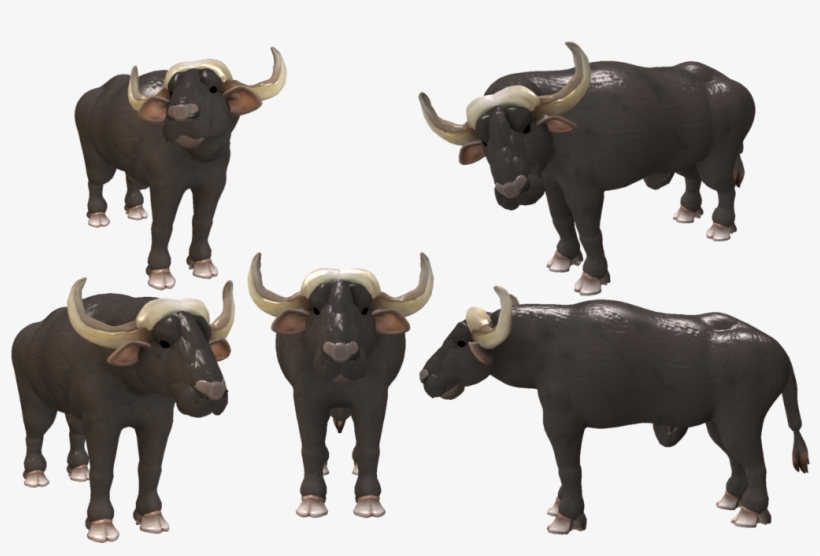 Water Buffalo Transparent Images Png - Spore Buffalo, transparent png download