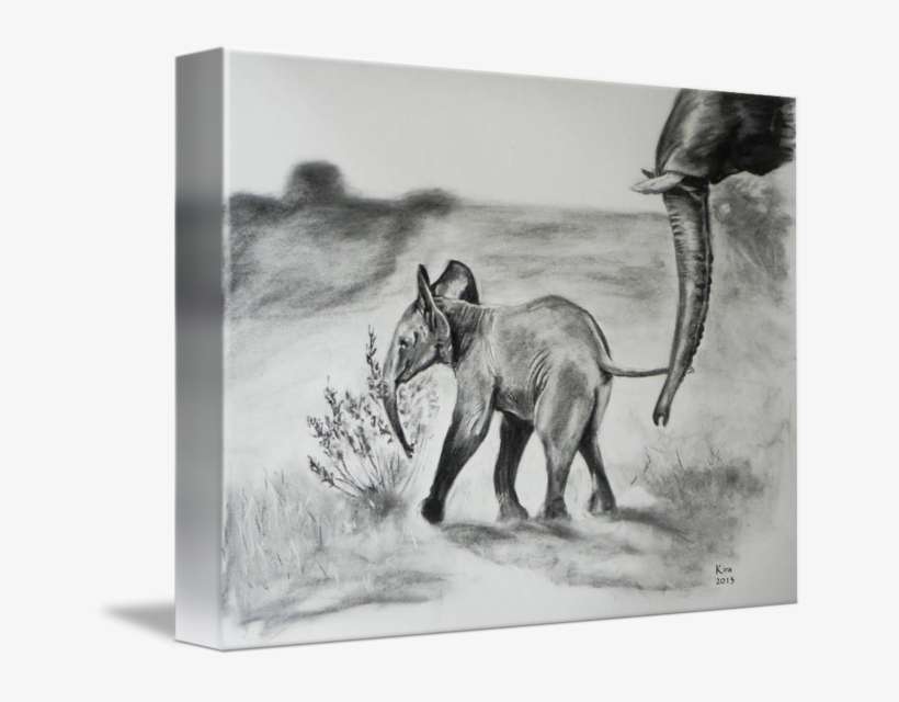 Picture Freeuse African Drawing Charcoal - Drawing Indian Elephant Baby, transparent png download
