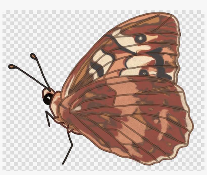 Monarch Butterfly Clipart Monarch Butterfly Pieridae - Vanessa Cardui, transparent png download