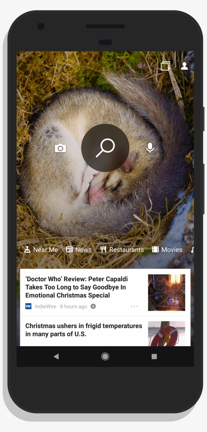 Bing For Android Update Brings Cross-device Search - Snowy Owl, transparent png download