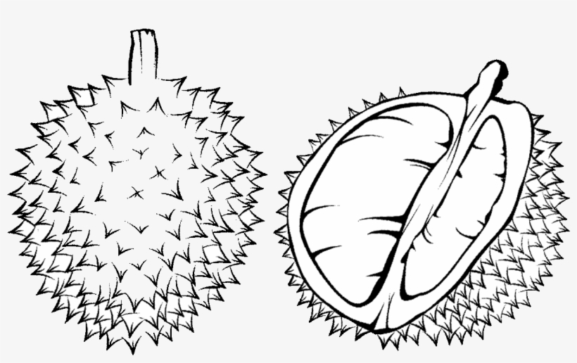 Durian Drawing Png - Durian Black And White, transparent png download