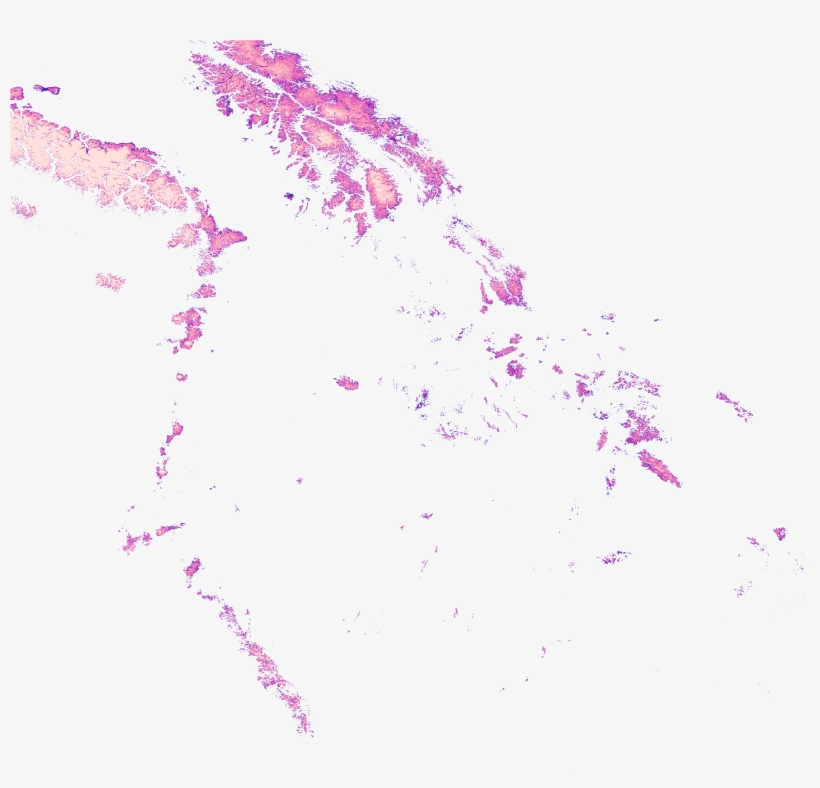 Kml Href, Http - Snow, transparent png download