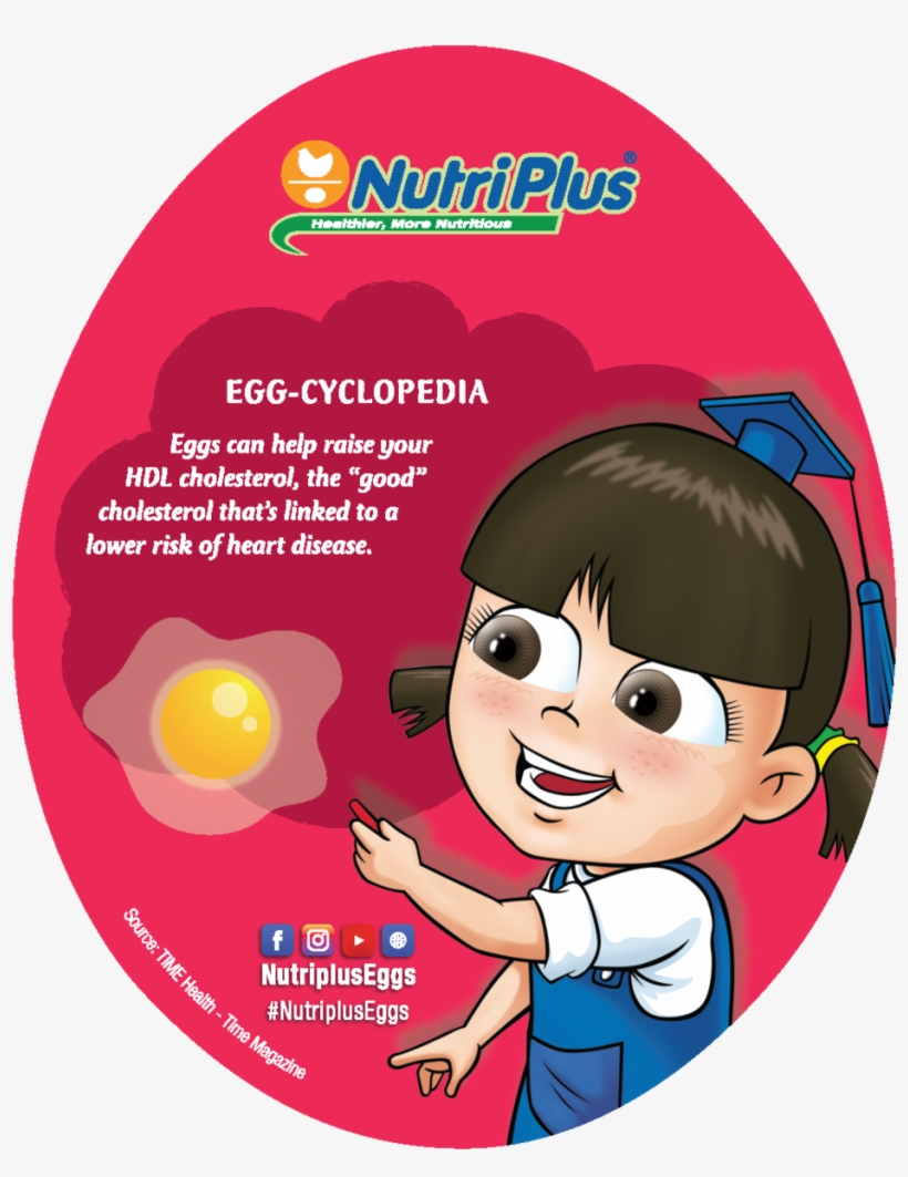 Egg, transparent png download