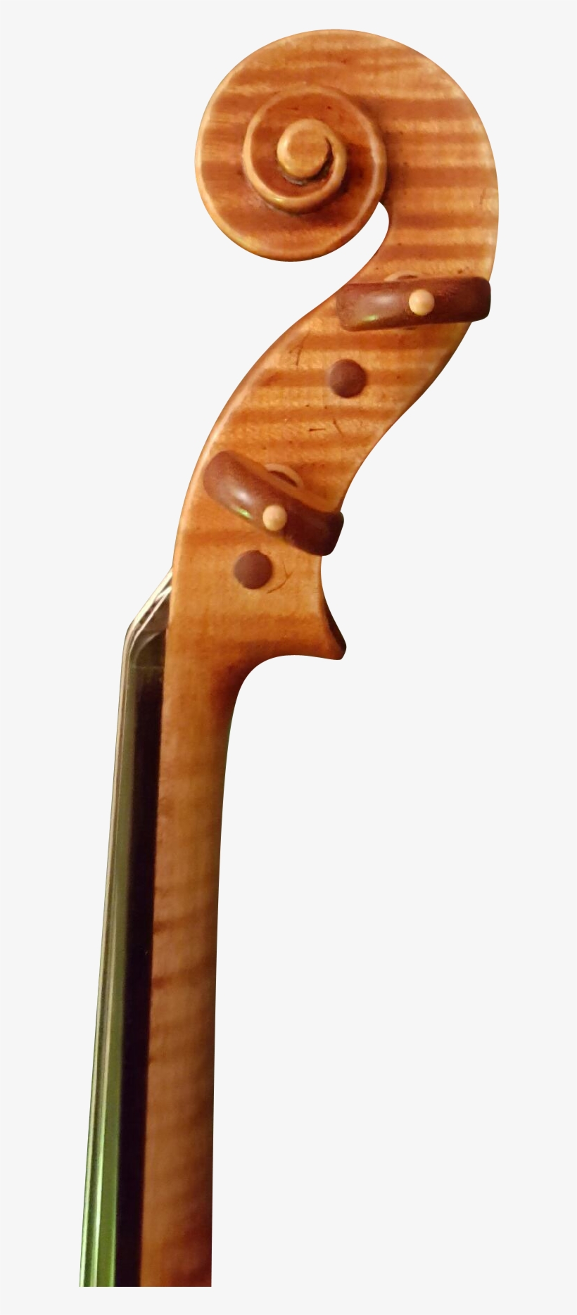 Lg3o42rco71mg5m4pti2 - Wood, transparent png download