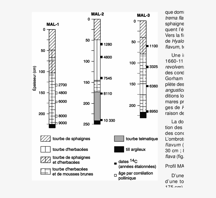 Nature Des Sédiments Des Profils Échantillonnés - Bog, transparent png download