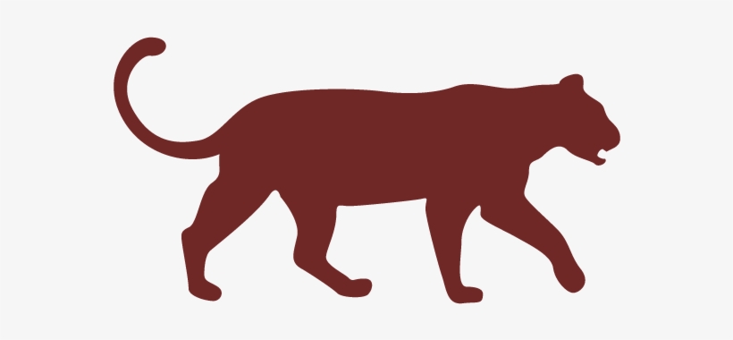 Excellent Leopard Sightings And Photo Opportunities - Vector Graphics, transparent png download