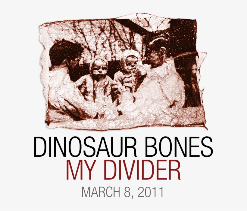 My Divider (lp) - Vinyl Lp, transparent png download