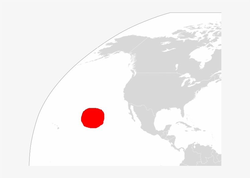 White Shark Cafe, transparent png download