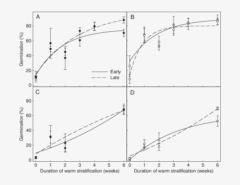The Effect Of Early And Late Seed Development On Final - Seed, transparent png download