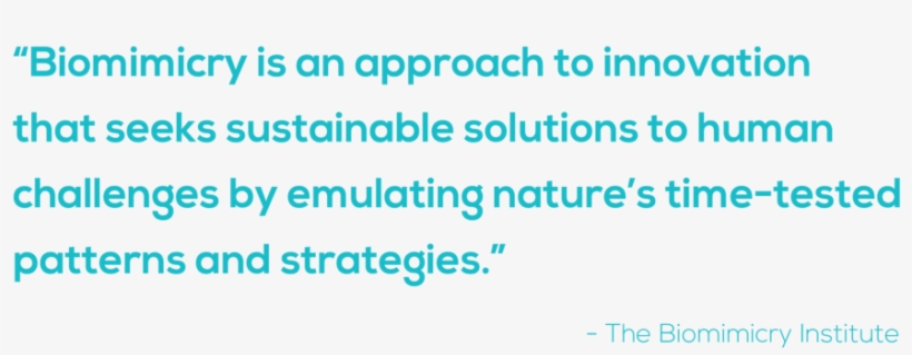 Biomimicrydefinition-01 - Cooling Down, transparent png download