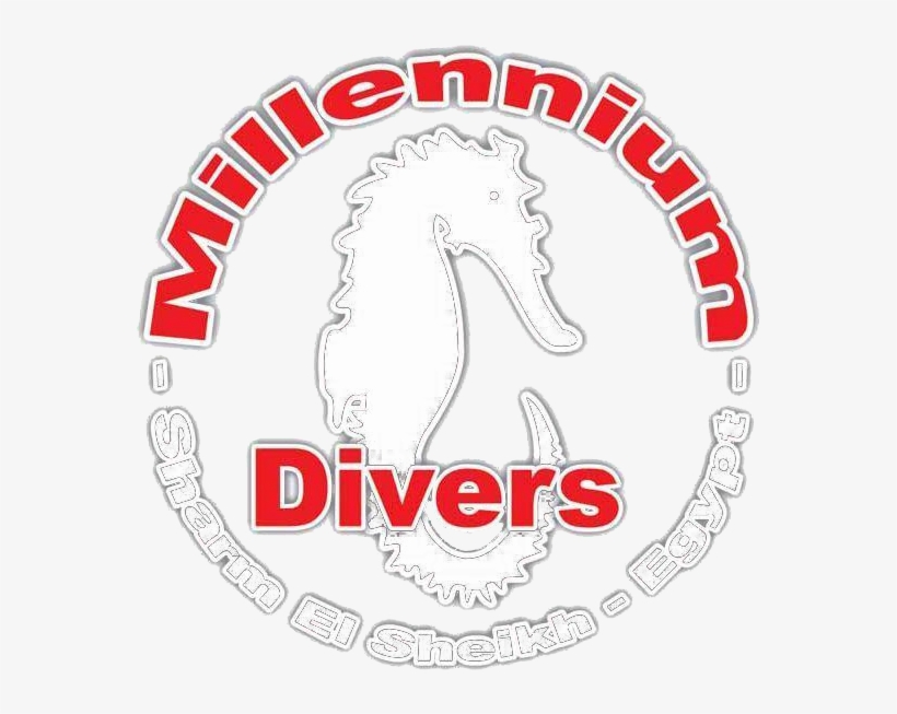 Call Us Now - Millennium Divers Sharm, transparent png download