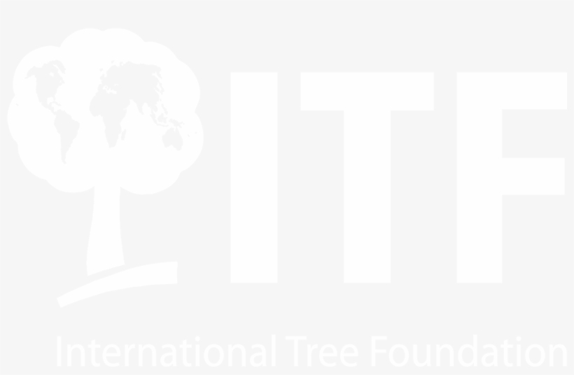 Follow Us - Ignite Keller Williams, transparent png download