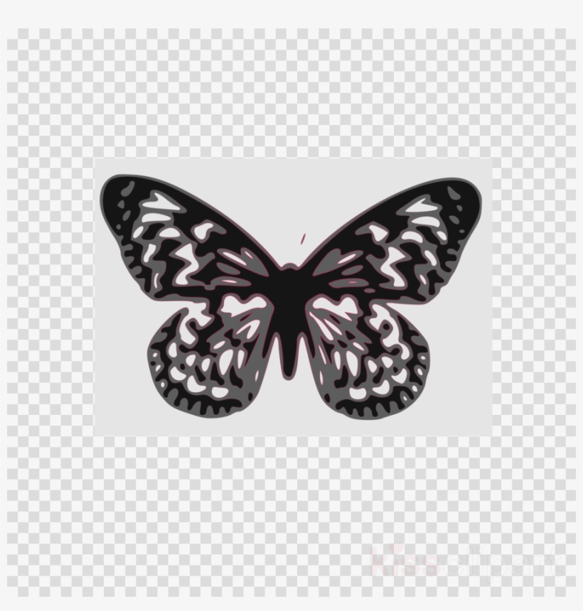 Your Own Kind Of Beautiful Butterflies, transparent png download