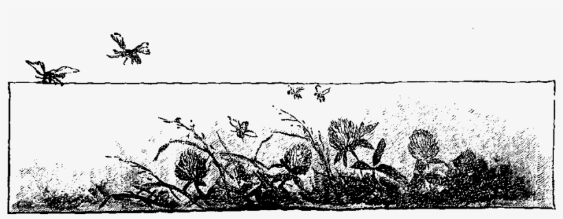 Digital Frame Border Downloads - Illustration, transparent png download