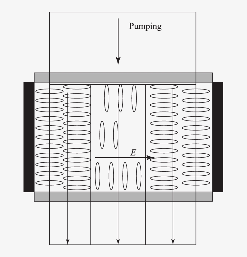 Relative Arrangement Of The Stripes In The Lc Cell - Number, transparent png download