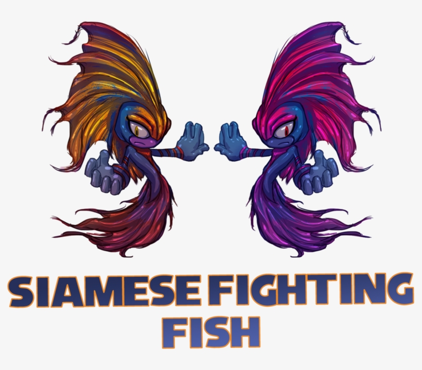 Siamese Fighting Fish Sonic Verse Jam By Ultimatetattts-d65xztv - Siamese Fighting Fish Cartoon, transparent png download