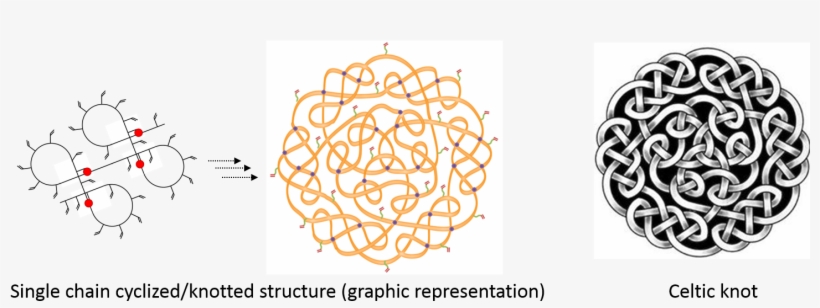 Single Chain Cyclized Knotted Polymer Vs Celtic Knot - Zazzle Celtic Knot Pentacle Earrings, Women's, Pale, transparent png download