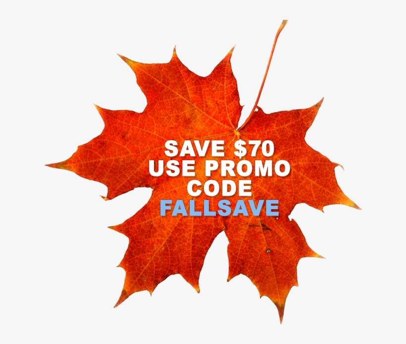 Pie En El Paraiso Ron Rash, transparent png download