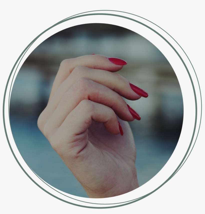 Nails - Nails Argan Oil, transparent png download