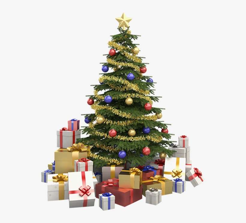 Usada Como Enfeite Nas Portas De Entrada Das Residências - Stock Image Christmas Tree, transparent png download