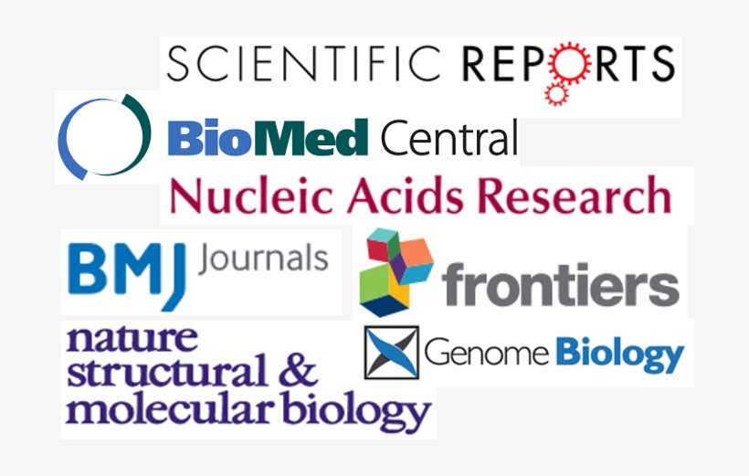 St Laurent G, Vyatkin Y, Kapranov P - Biomed Central, transparent png download