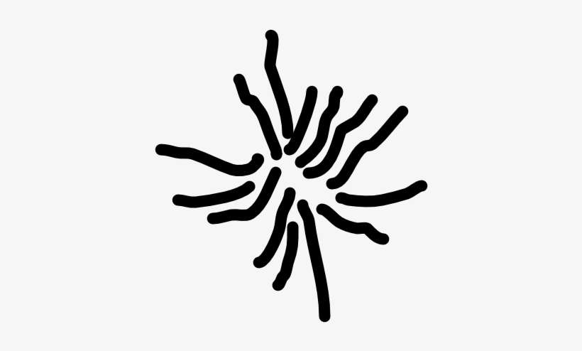 The Orange Light Rays Of The Setting Sun Were Stretched - Invertebrate, transparent png download