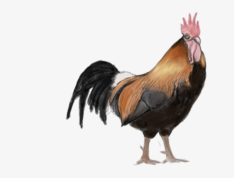 Download Herehttp - Watercolor Painting, transparent png download