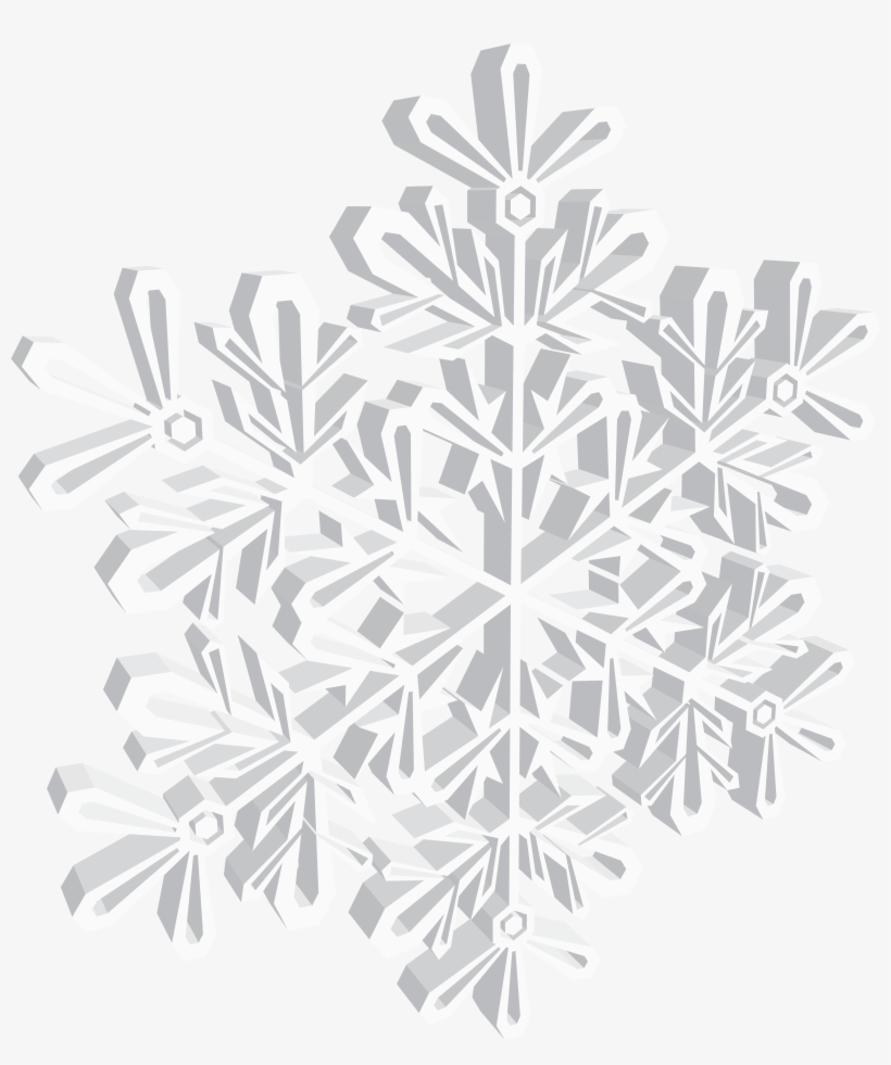 Floral Design, transparent png download