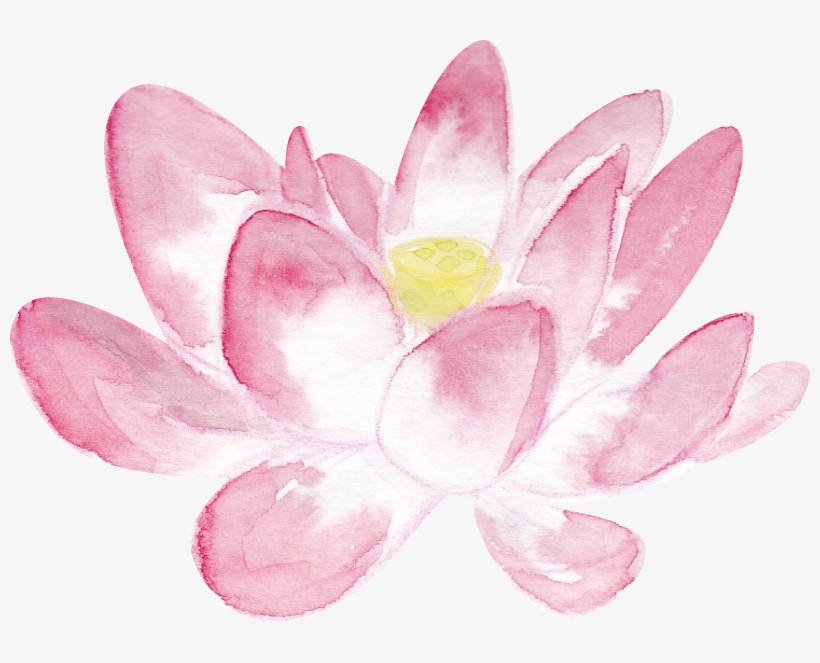 Pink Lotus Png In Watercolor Large - Sacred Lotus, transparent png download