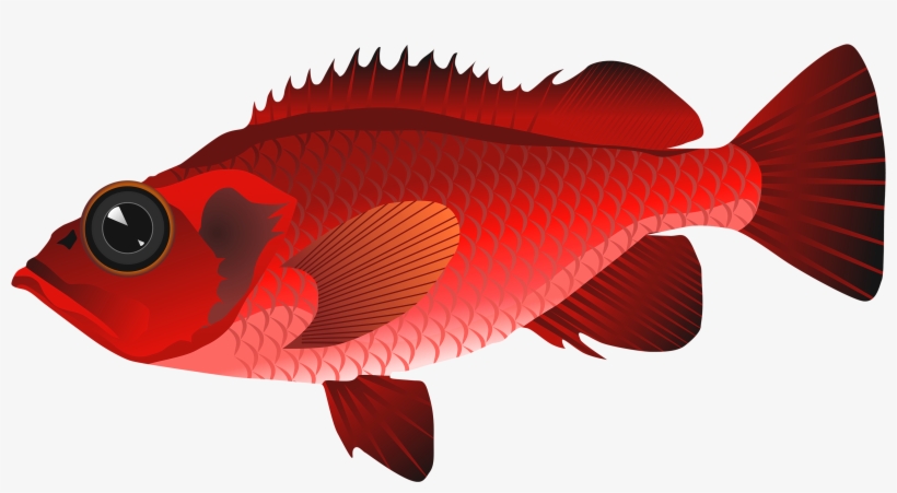 Png Best Web - Fish Clip Art Png, transparent png download