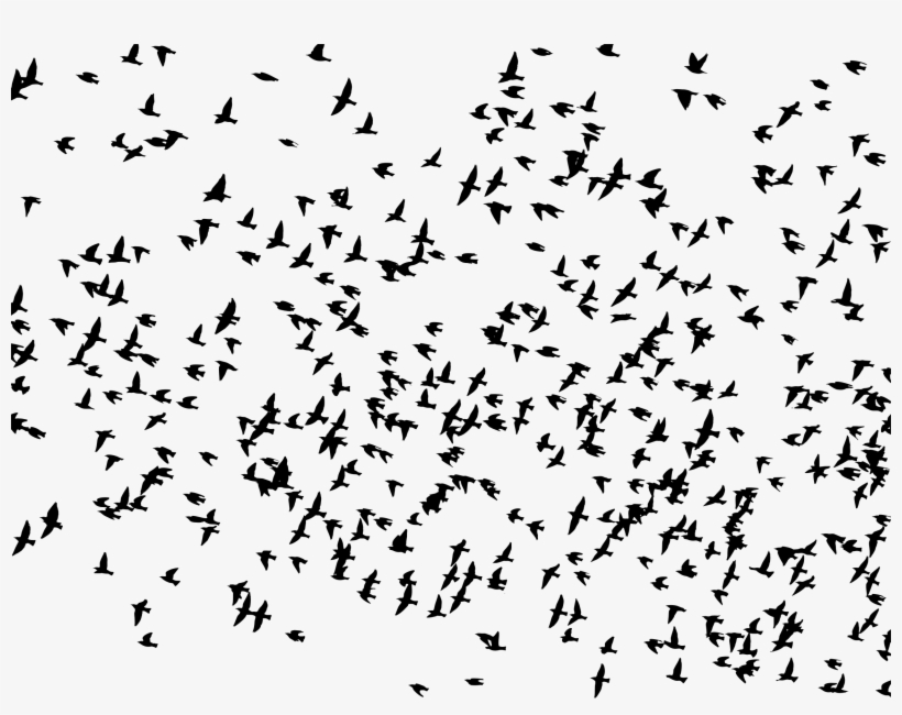 Big Image - Flock Of Birds Flying Silhouette, transparent png download
