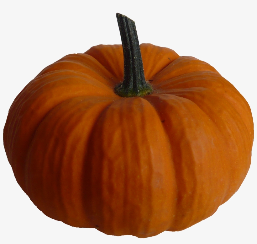 Real Pumpkin Png Image - Real Pumpkin Png, transparent png download