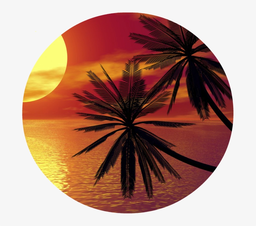 Palm Trees Sunset On Shore Photography Sea Line Photo - Vacation Spot, transparent png download