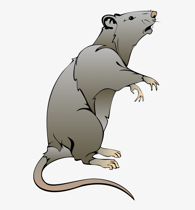 Rat Clipart, transparent png download