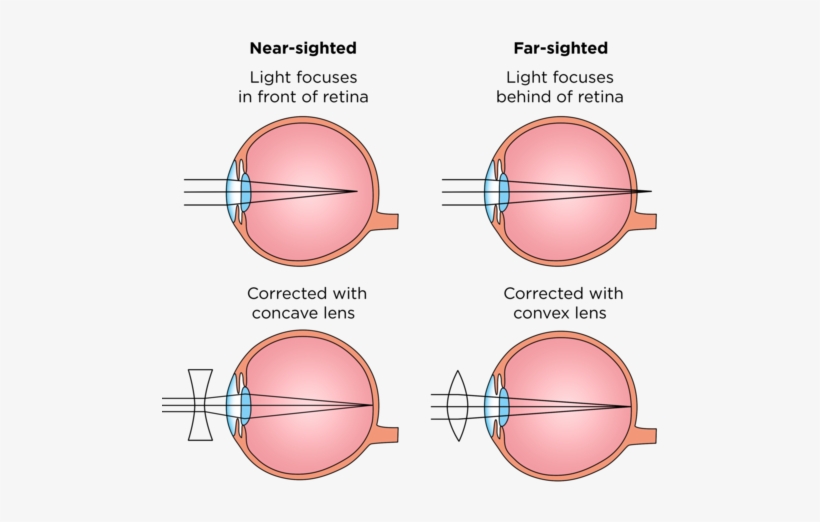 Lighter Clipart Light Ray - Path Of Light From The Time It Enters The Eye To The, transparent png download