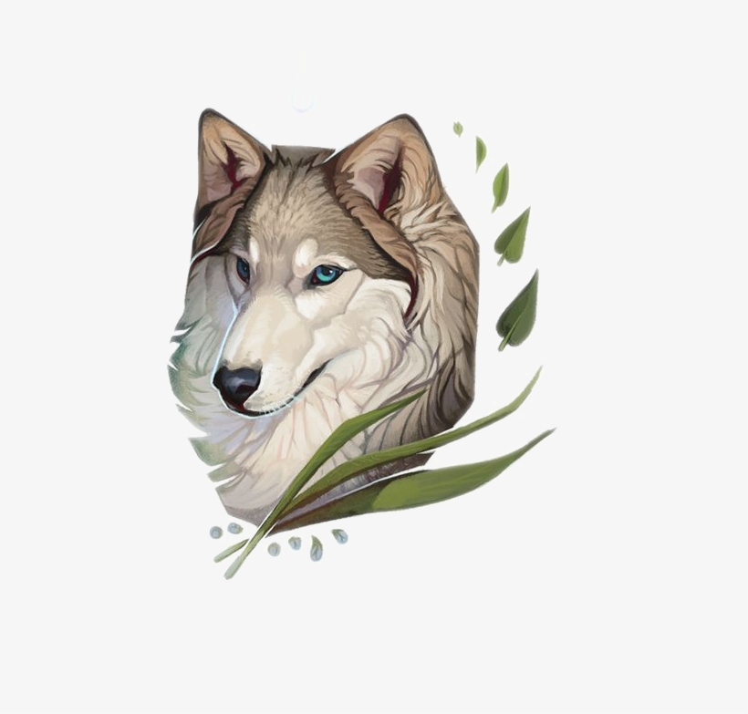 Drawing Husky Watercolor - Wolf Spirit Animal Drawing, transparent png download