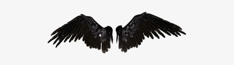 Wings, Png, And Transparent Image - Black Angel Wings Png, transparent png download
