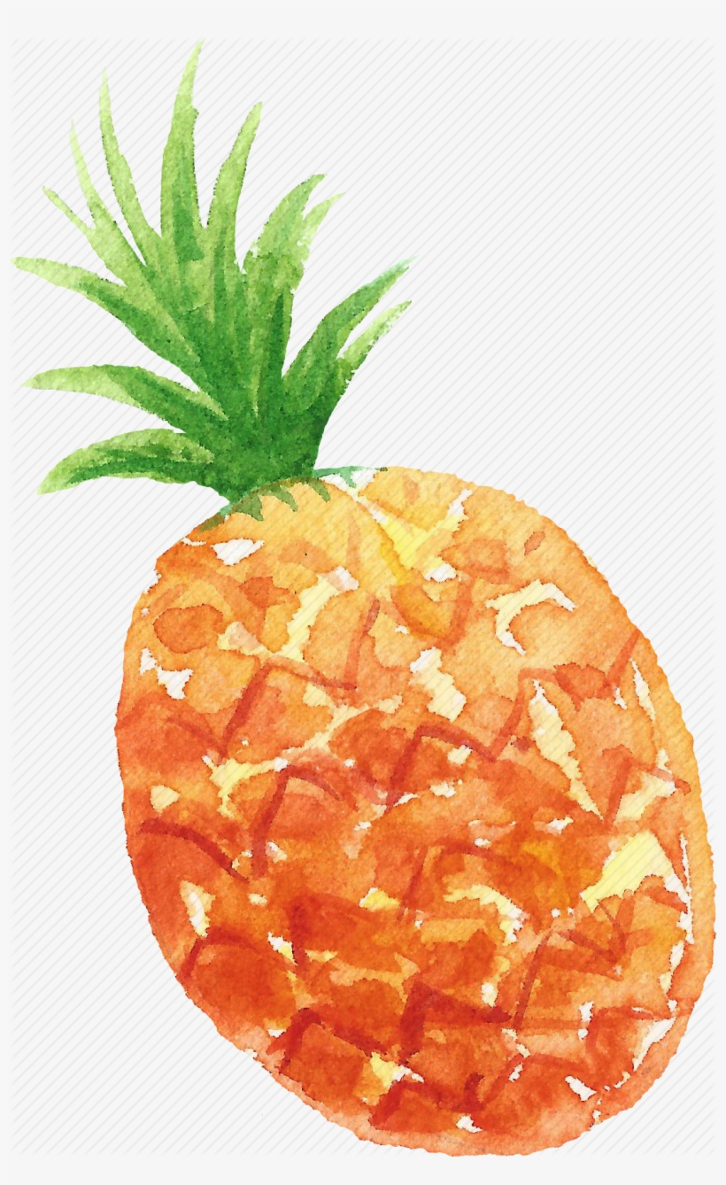 Vector Royalty Free Stock Transparent Watercolors Pineapple Watercolor Pineapple Transparent Png Image Transparent Png Free Download On Seekpng